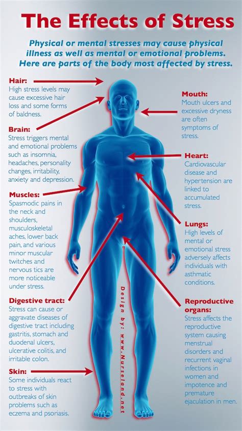 The Impact of Anxiety and Stress on Inducing Nightmares of Suffocation