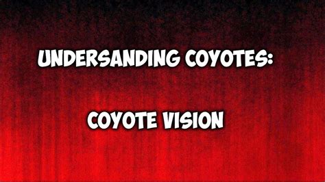 The Impact of Coyote Visions on Personal Growth