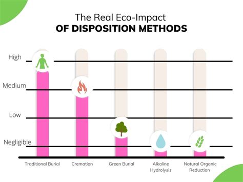 The Impact of Cremation on Environmental Sustainability