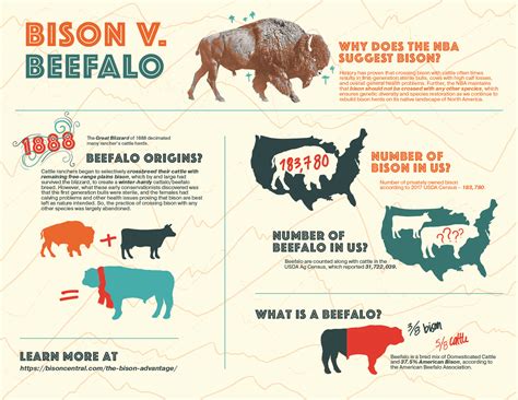 The Impact of Cultural and Historical Context on Bison Assault Nightmares