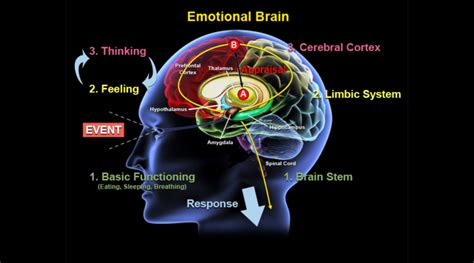 The Impact of Dreaming on Emotional Processing