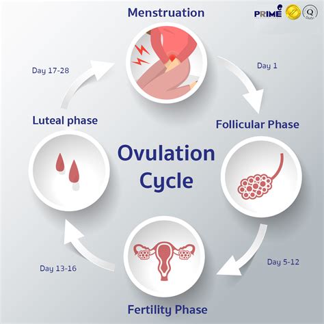 The Impact of Dreams Depicting Progress in Ovum Development on Psychological Well-being