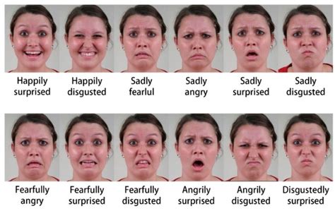 The Impact of Facial Expressions: Exploring Emotions in Deteriorating Visages