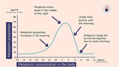 The Impact of Hormones on Dream Content