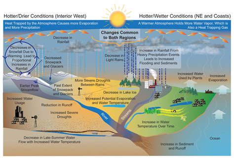 The Impact of Light and Temperature on Transformations of Water Appearance