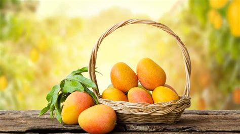 The Impact of Mango on Digestive Health and Immune System