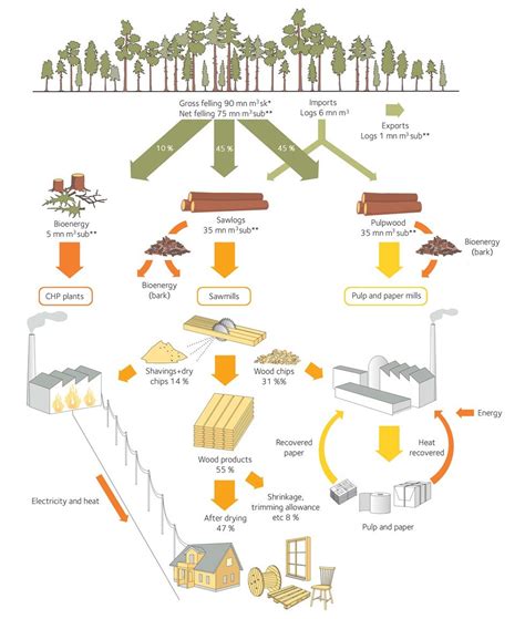 The Impact of Media and Advertising on Our Fantasies of Timber Utilization