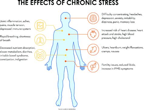 The Impact of Persistent Stress on Experiencing Being Misplaced within an Air Transport Hub