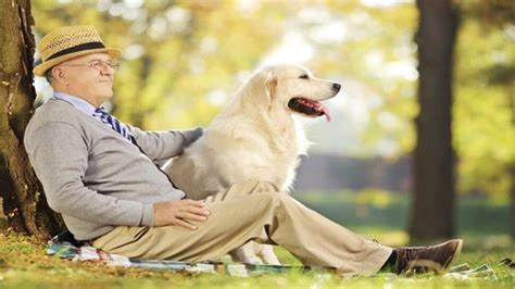 The Impact of Pet Companionship: Exploring the Delightful Connections between Humans and Animals