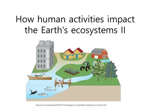 The Impact of Sand Deluges on Ecosystems and Human Settlements