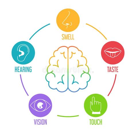 The Impact of Sensory Perception on Dreams Involving the Aroma of Hair