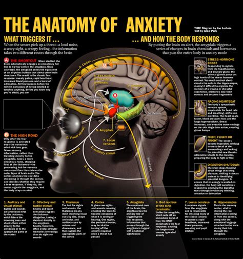 The Impact of Stress and Anxiety on the Frequency of These Haunting Nighttime Experiences