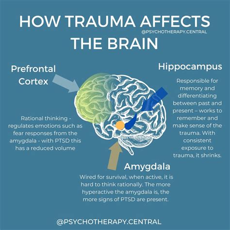 The Impact of Trauma: Exploring the Emotional Aspects