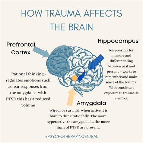 The Impact of Trauma on the Human Mind