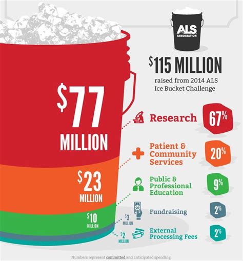 The Impact of the Ice Bucket Challenge on ALS Research