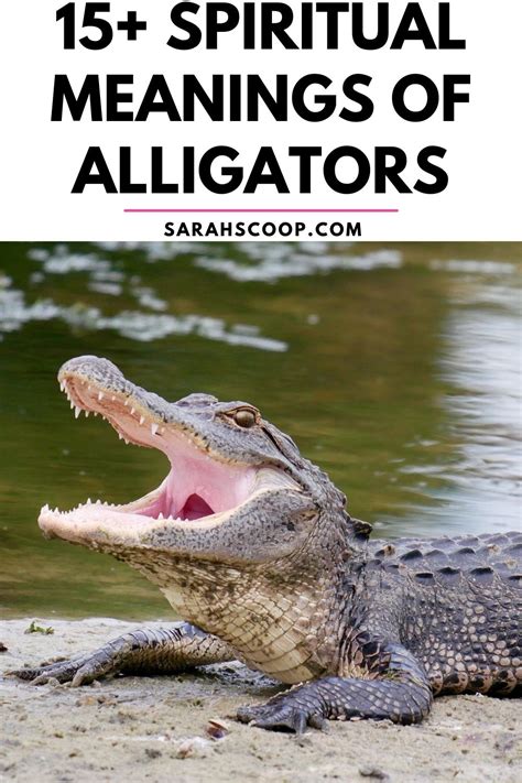 The Importance of Alligator Symbolism in Dreams