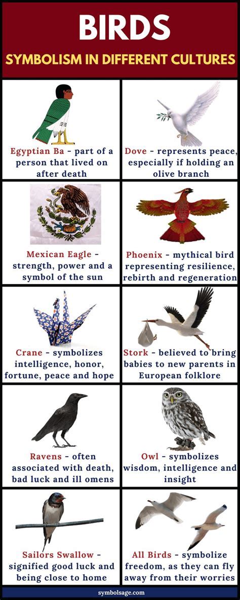 The Importance of Avian Creatures in Dream Symbolism