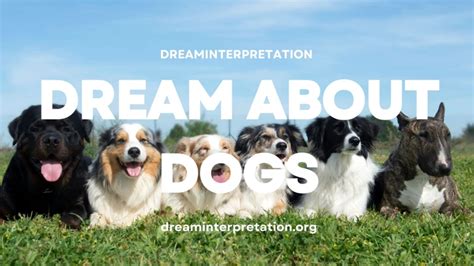 The Importance of Barking in Interpreting Canine Dreams