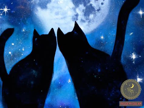 The Importance of Black Felines in Dream Interpretation