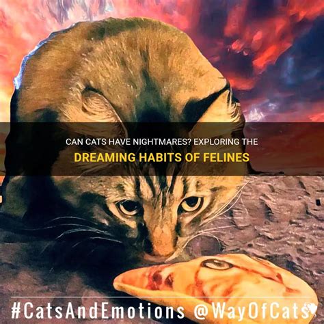 The Importance of Dreaming about Famished Felines