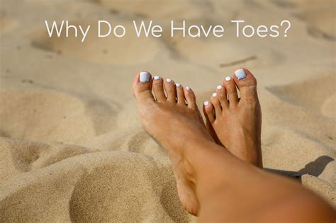 The Importance of Dreams Involving the Removal of Toes