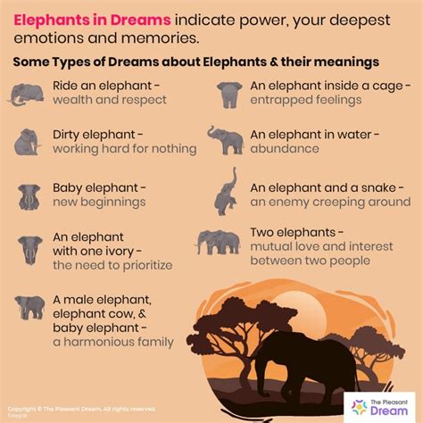 The Importance of Elephants in the Analysis of Dreams 