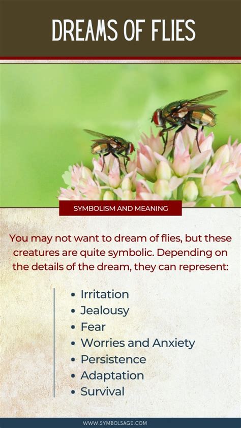 The Importance of Flies in Dreams