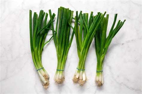 The Importance of Fresh Green Onions as a Symbol of Development and Rejuvenation