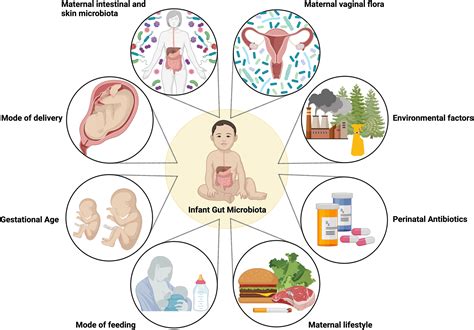 The Importance of Infant Ichthyoid Reveries