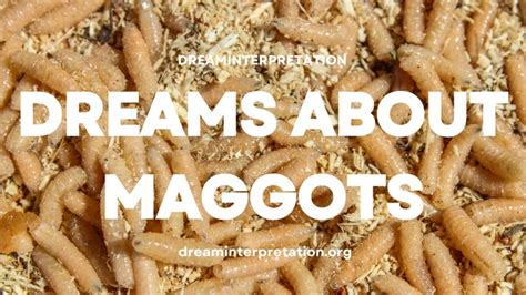 The Importance of Maggots in Interpreting Dreams