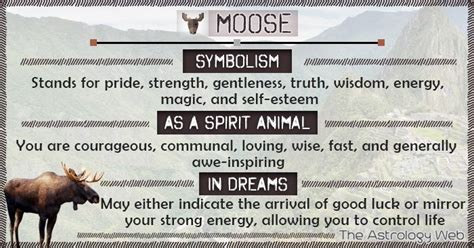 The Importance of Moose in Native American Spiritual Beliefs