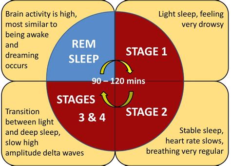 The Importance of Movement in Dreams