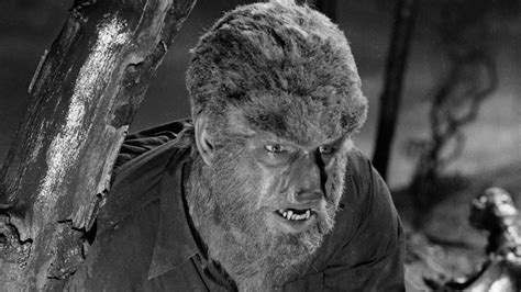 The Importance of Nightmares featuring the Wolf Man