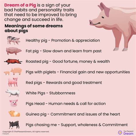 The Importance of Pigs in Dreams: A Comprehensive Overview