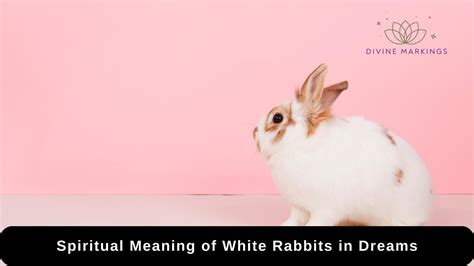 The Importance of Rabbits in Dreams