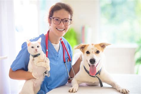 The Importance of Regular Veterinary Check-ups and Recognizing the Need for Medical Attention