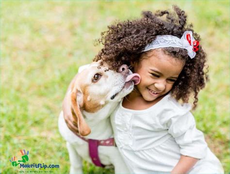 The Incomparable Bond: Understanding the Unique Connection between Canines and Humans