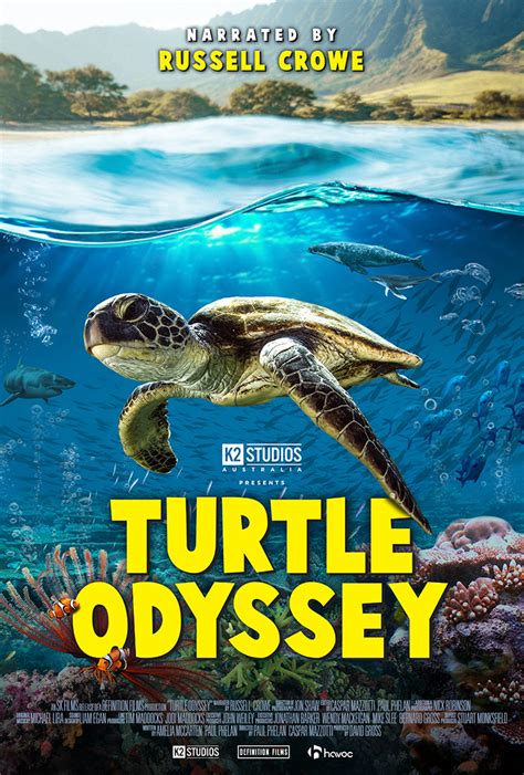 The Incredible Odyssey of Sea Turtles