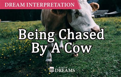 The Influence of Cultural Beliefs on the Symbolic Interpretation of Dreaming about a Cow Being Butchered