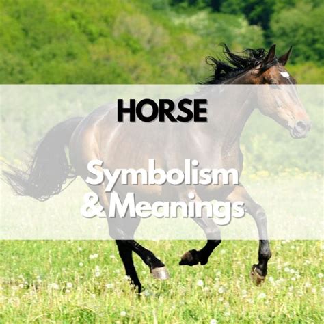 The Influence of Culture and History on Equine Symbolism