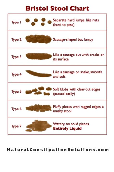 The Influence of Diet on Baby's Stool Consistency