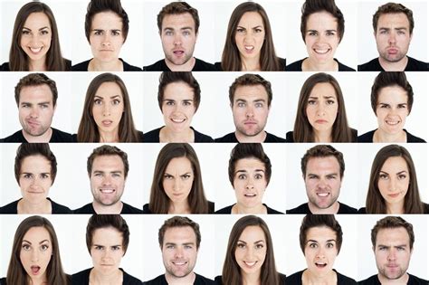 The Influence of Microexpressions: Deciphering Honesty through Facial Expressions