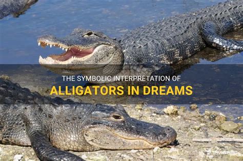 The Influence of Personal Experiences on the Interpretation of Alligator Dreams