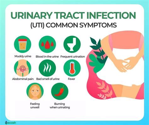 The Influence of Psychological Factors on Urinary Tract Infection Dreams