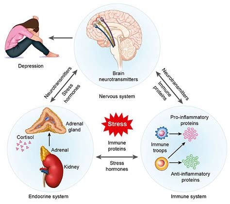 The Influence of Stress: How the Effects of a Demanding Lifestyle Manifest in Dreams of Vehicle Crashes