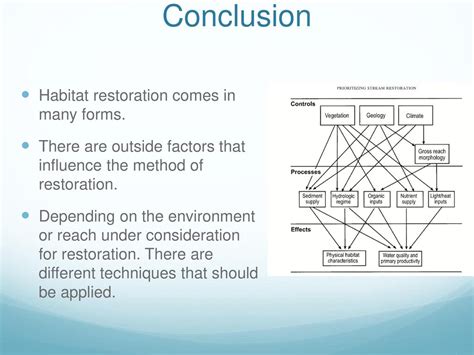 The Influence of Visits from the Departed: Restoration and Conclusion