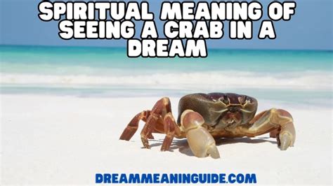 The Intricacies of Receiving a Crab's Bite: Unraveling the Hidden Messages