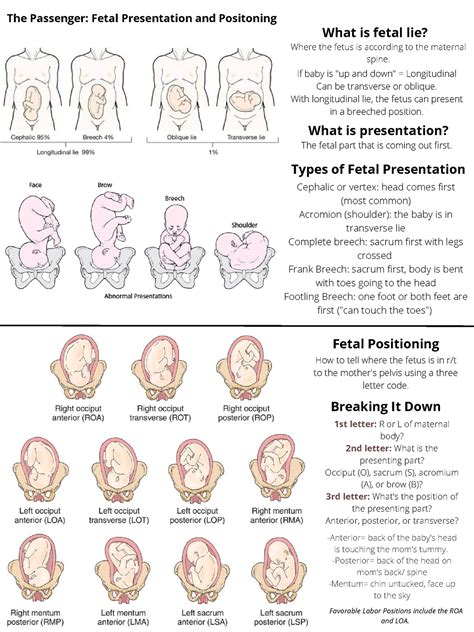 The Intrigue Surrounding Sensations of Fetal Movements: What You Should Be Aware of