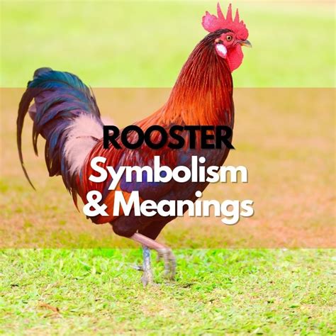 The Intriguing Origins of Rooster Symbolism