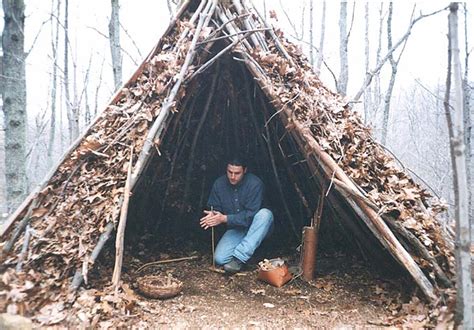 The Intriguing Psychology of Forest Shelter Dreams